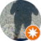 giuseppe stumbo Avatar